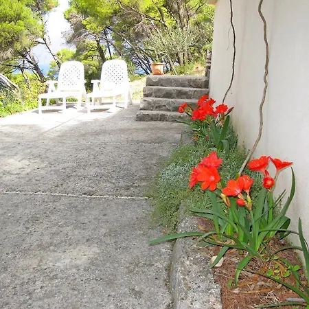 Holiday home House Ivan *